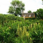 Jardin du manoir d'Eyrignac en Dordogne