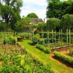 Jardin du manoir d'Eyrignac en Dordogne