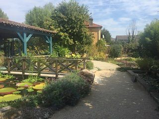 lotus des jardins d'eau