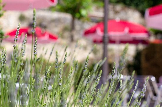 Chambres d'hotes de Charme - Vers - Lot