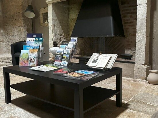 Relaxation Area - Library Lounge - Romantic bed and breakfast with pool with pool - Cahors - Lot - France