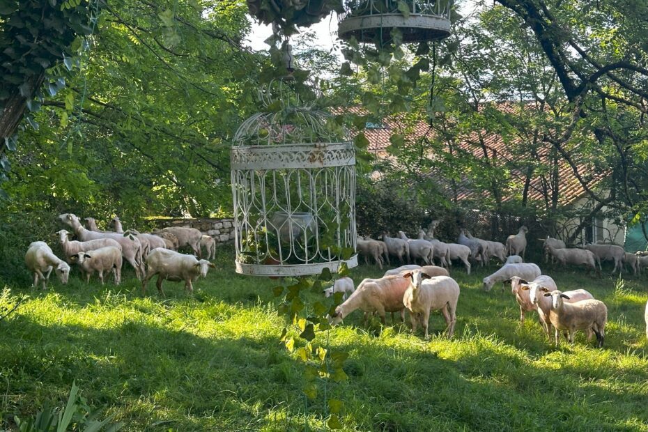 Romantic b and b with pool - rocamadour - Lot - France