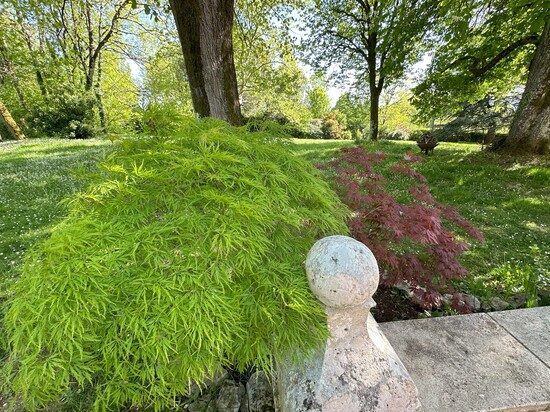 Romantic guest house with 3.5-acre Park - Cahors - Lot - France