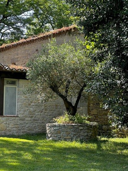 Charming bed and breakfast with 3.5-acre Park near vineyard - Lot - France