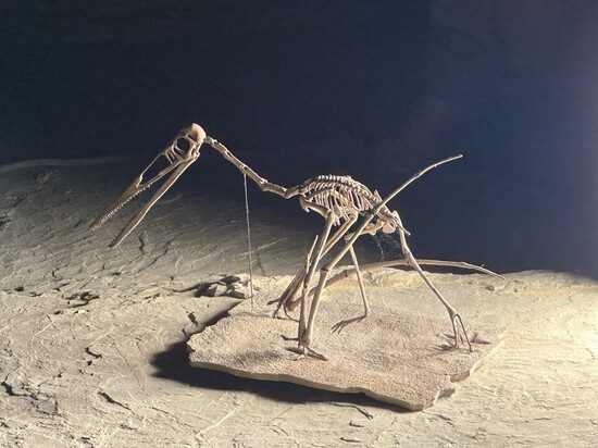 Romantic getaway in France with pool - rocamadour - Lot - France