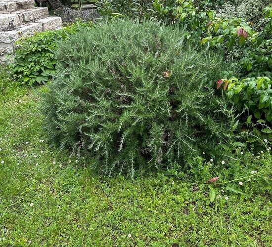 Produits Régionaux - week end en amoureux de charme - Saint Cirq Lapopie - Lot