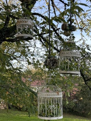 Bed and breakfast with dinner with pool - saint cirq lapopie - Lot - France