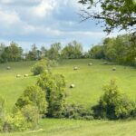 Causse of Vers - Top rated bed and breakfast Cahors- saint cirq lapopie - Lot - France