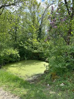 Causse of Vers - Charming guest house with pool - rocamadour - Lot - France