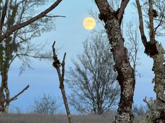 Causse of Vers - Charming b&b with pool - saint cirq lapopie - Lot - France