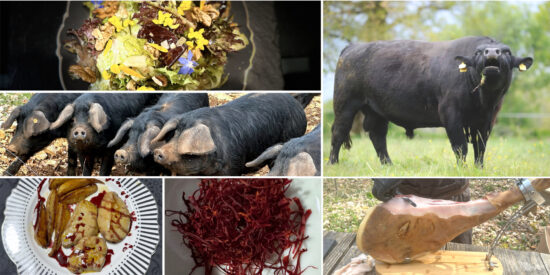 Produits locaux - Table d'hotes - maison d'hotes de luxe - Vers - Cahors - Lot