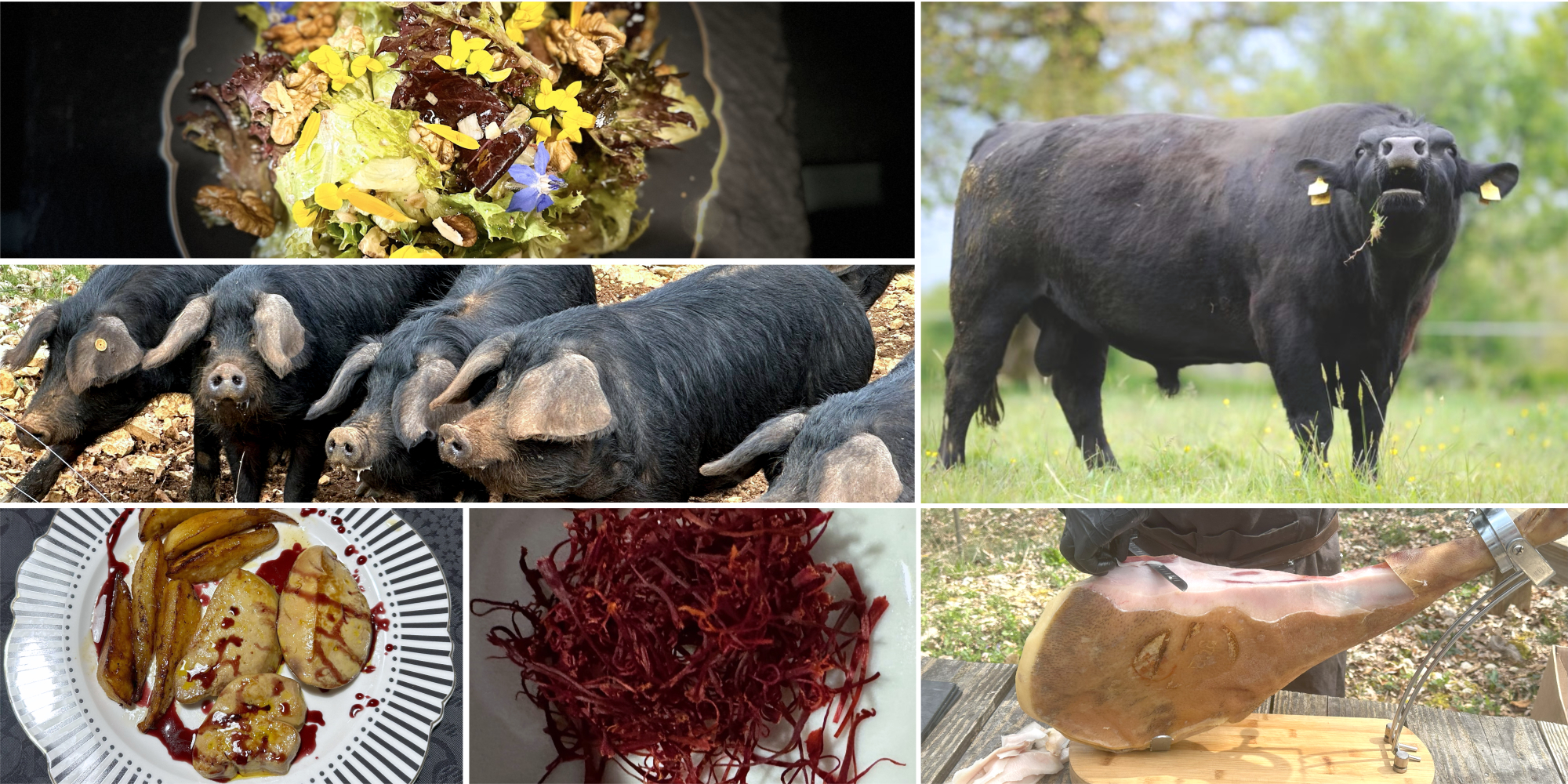 Produits locaux - Table d'hotes - maison d'hotes de luxe - Vers - Cahors - Lot