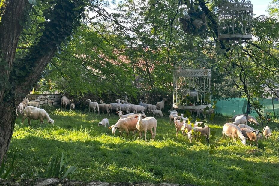 Chambre d'hôtes de charme eco-responsable- Vers - Cahors - Lot