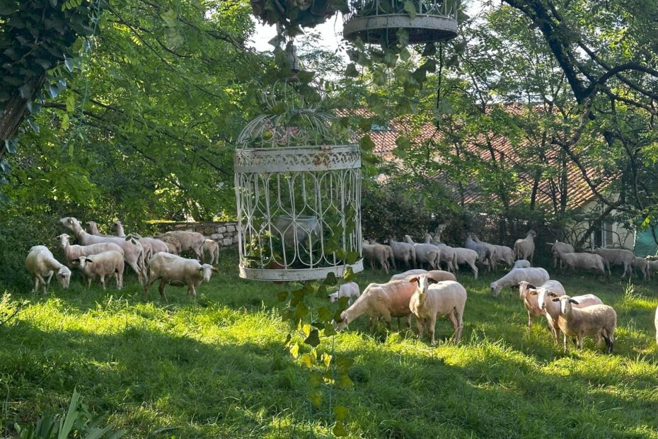 maison d'hotes de charme - Vers - Lot