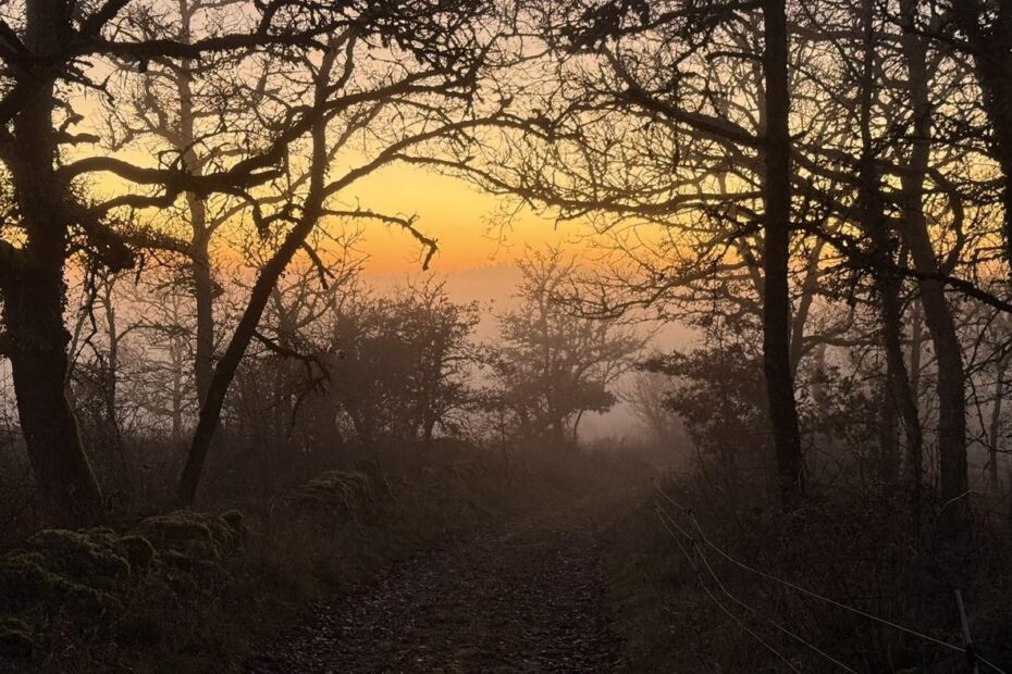 b&b cahors - lot - France