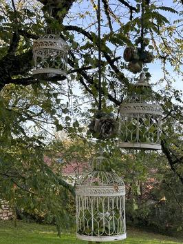 Bed and breakfast with dinner with pool - saint cirq lapopie - Lot - France Bed and breakfast with dinner with pool - saint cirq lapopie - Lot - France