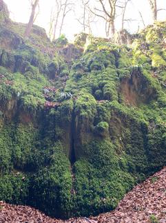 Charming guest house Cahors - rocamadour - Lot - France Charming guest house Cahors - rocamadour - Lot - France