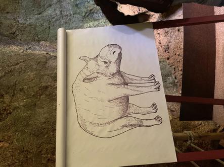 Charming guest house Cahors - rocamadour - Lot - France Charming guest house Cahors - rocamadour - Lot - France