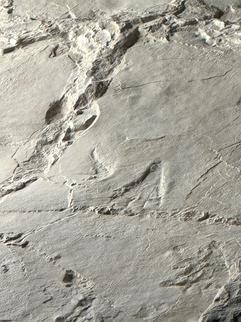 Charming guest house with pool - rocamadour - Lot - France Charming guest house with pool - rocamadour - Lot - France