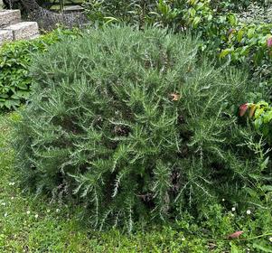 Local products - bed and breakfast cahors