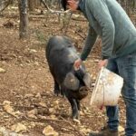 Produits régionaux - Ferme de Tessou - Table d'hôtes - Chambres d'hotes de Charme - Cahors - Lot