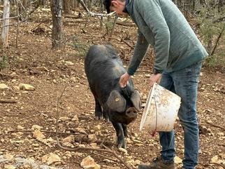 Regional products - Ferme de Tessou - Charming b&b with pool - saint cirq lapopie - Lot - France