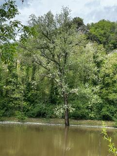 Village of Vers - b&b cahors - Cahors - France